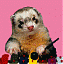 ferrets54