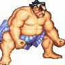 big_hawk97