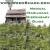 WeedShack_Admin